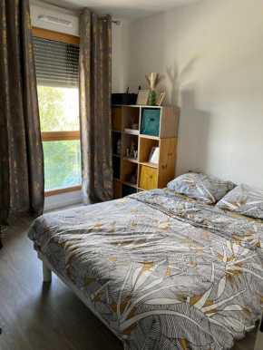 Chambre à Louer dans un appartement cosy